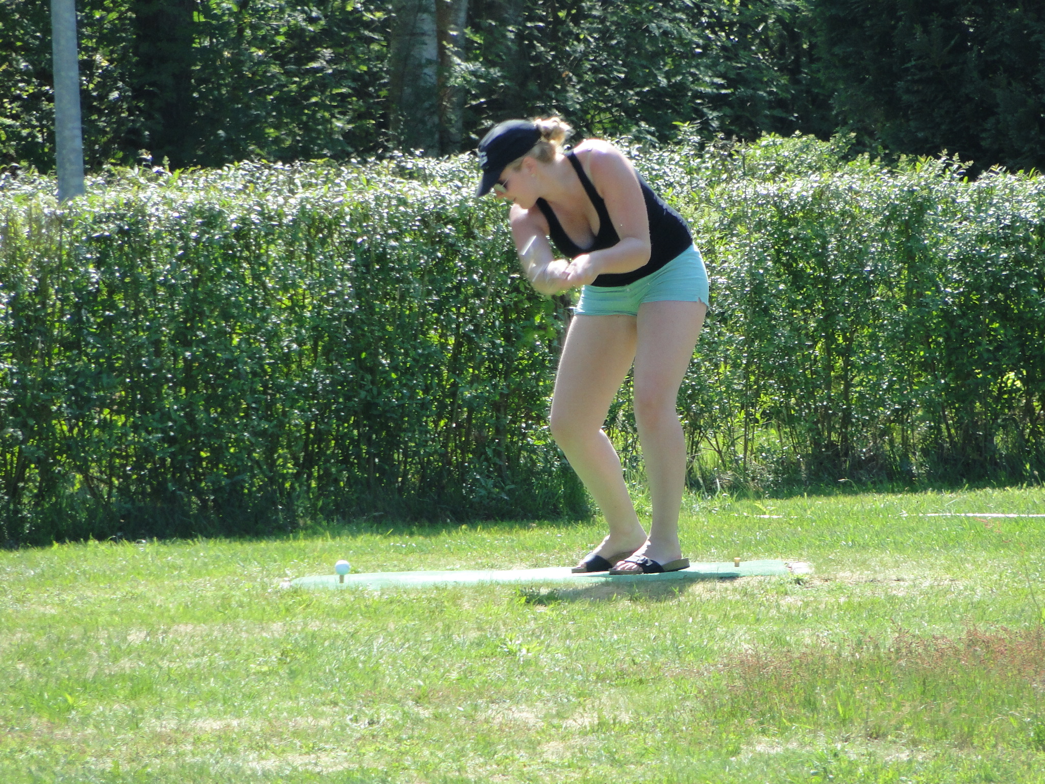 2011HWK 098.jpg